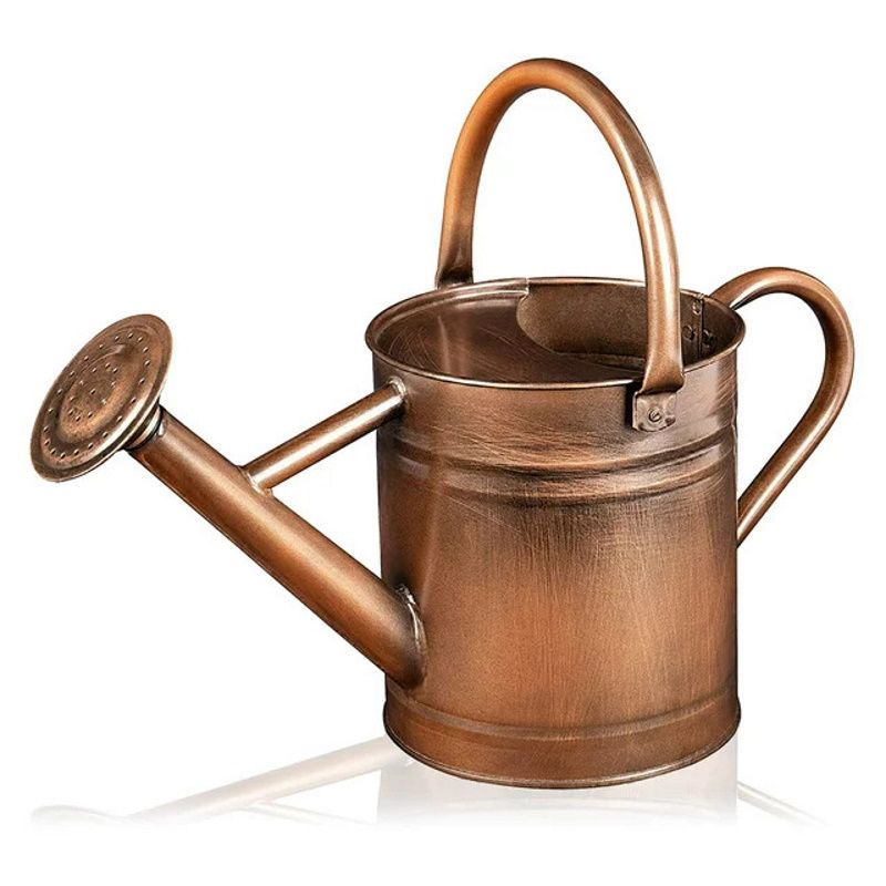 Walmart watering can