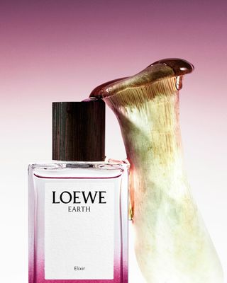 Loewe Earth Elixir perfume bottle and a mushroom