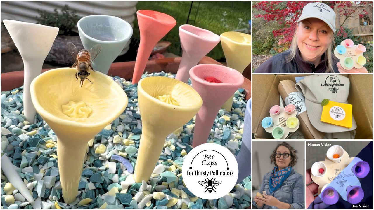 Bee cups, and two women holding bee cups