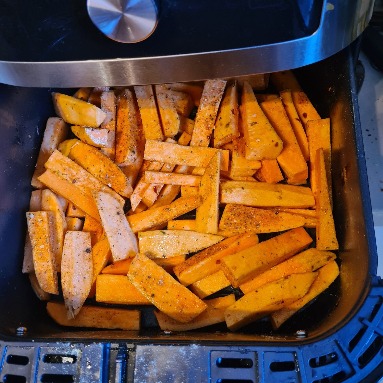 Instant Vortex Plus Air Fryer review for perfect homemade fries Real