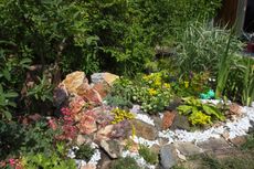 Rockery Garden Design With Rocks And Plants