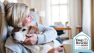 Woman adopting an older dog