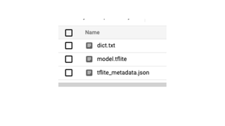 Download Model as TF Lite file.