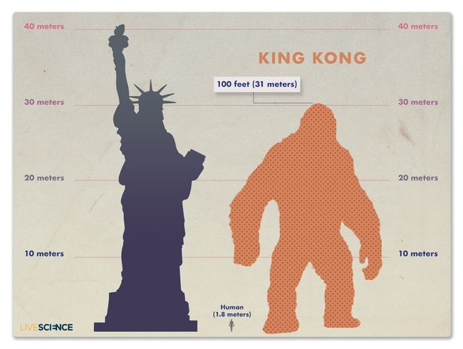 Kind of a Big Deal: How King Kong Measures Up (Images) | Live Science