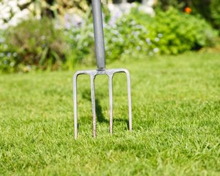garden fork pushed into a lawn