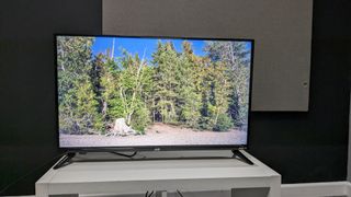 JVC LT-32CR230 with trees on screen