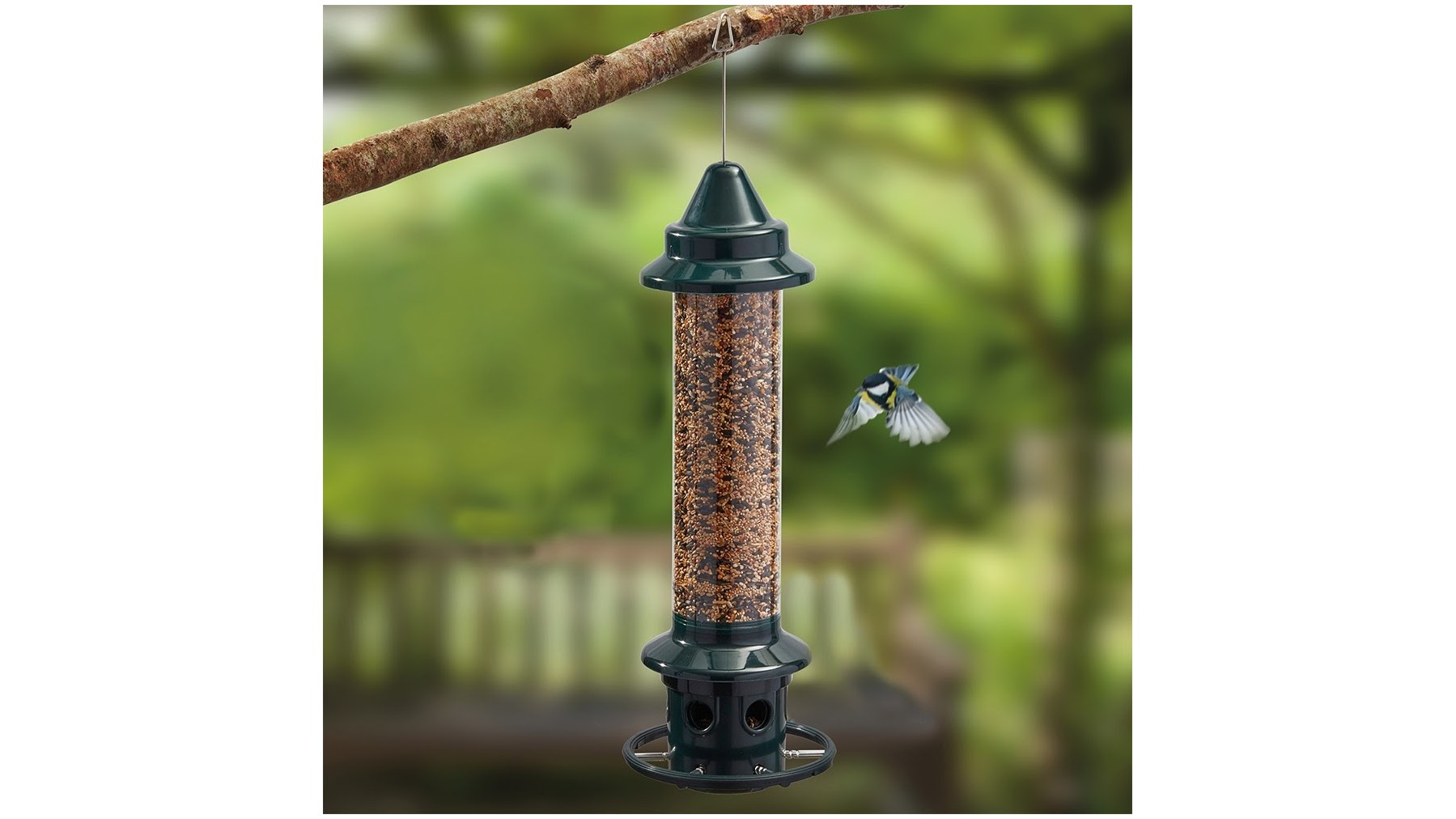 Best bird feeder: Keep your flying friends happy and fed | PetsRadar