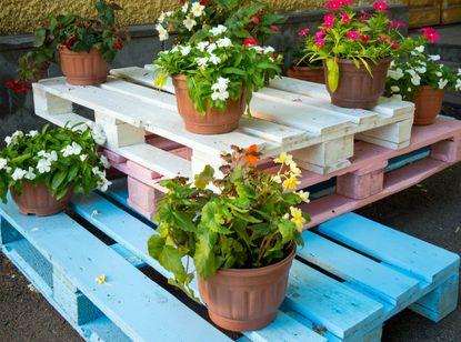 Potted Plants On Recycled Painted Pallets