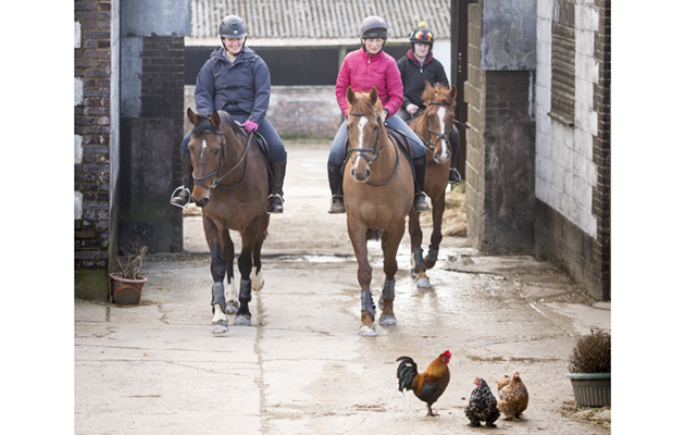 The grooms coming home from a hack