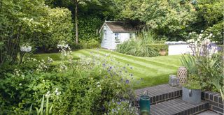 small garden with perfectly manicured lawn with stripes and blue painted shed to show how to make a garden look expensive on a budget