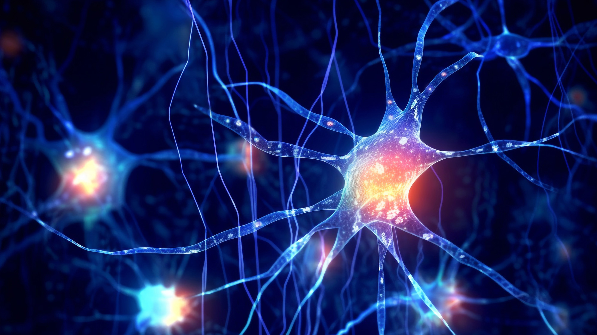 An illustration of a series of brain cells with tendrils connecting them.