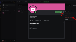 A screenshot of the Discord web app showing a user's profile and the Report User Profile button. 