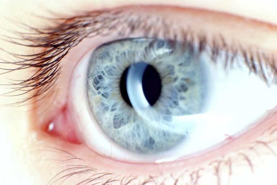 Harvard researchers regrow human corneas