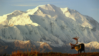 Denali