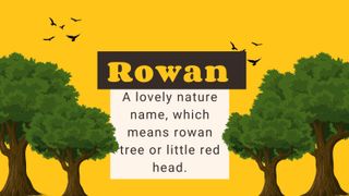 Infographic yellow background with trees on to illustrate Irish baby names