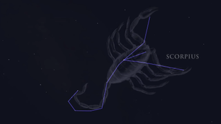 The constellation of Scorpius the Scorpion is visible above the southern horizon this summer.