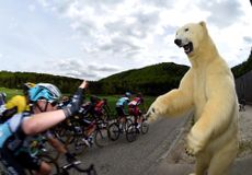A stuffed bear watches stage three of the 2015 Tour de Romandie