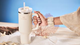 The 10 Best Stanley Adventure Quencher Travel Tumbler Dupes and  Alternatives The Real Deal by RetailMeNot