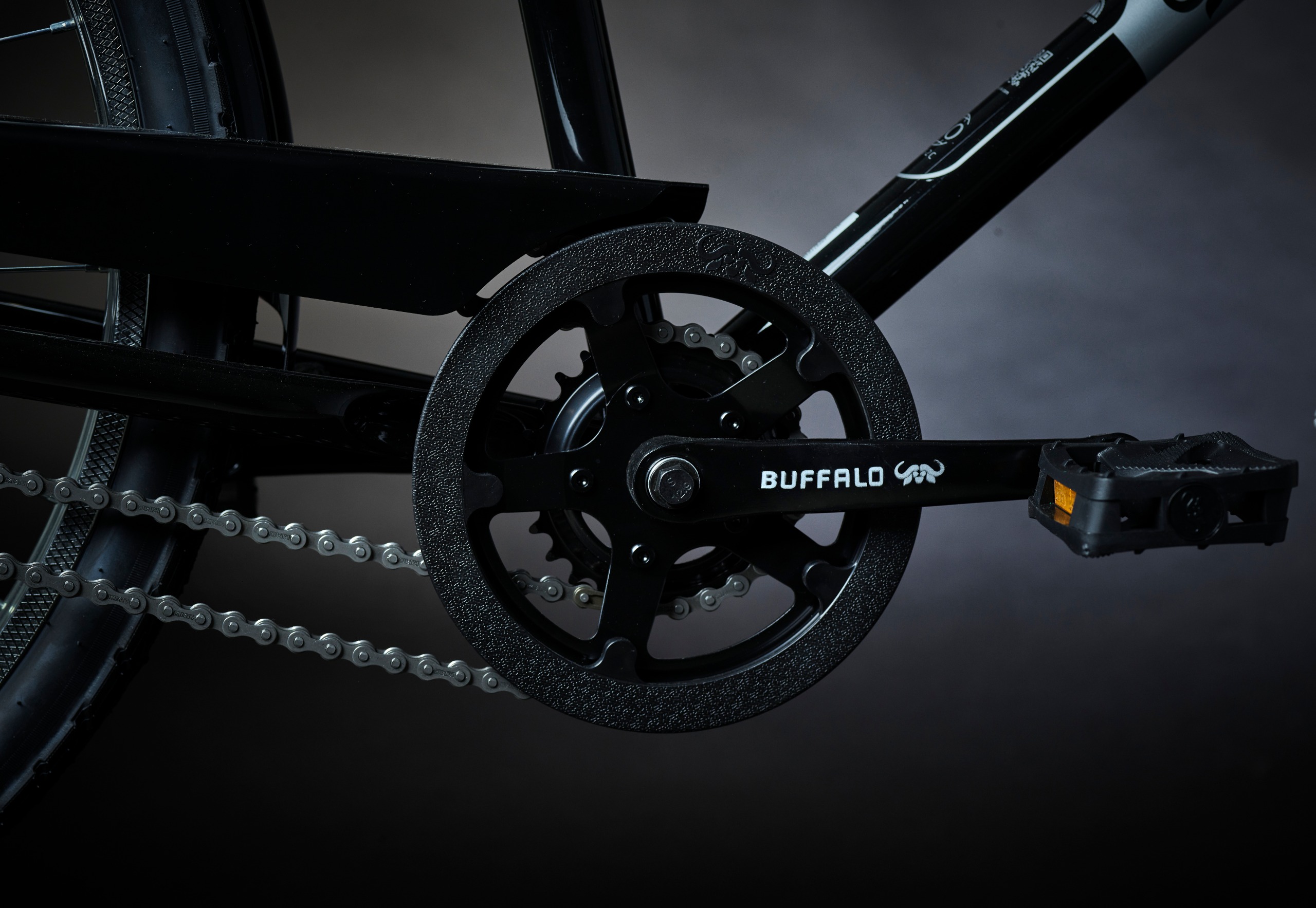 The dual chainring of the Buffalo Pro bike