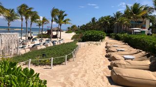 A row of loungers in the sand, with palm trees in the background, at Andaz Mayakoba Resort Riviera Maya beach