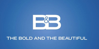 The Bold and the Beautiful Logo