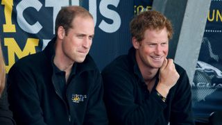 Prince Harry and Prince William watching Invictus Games
