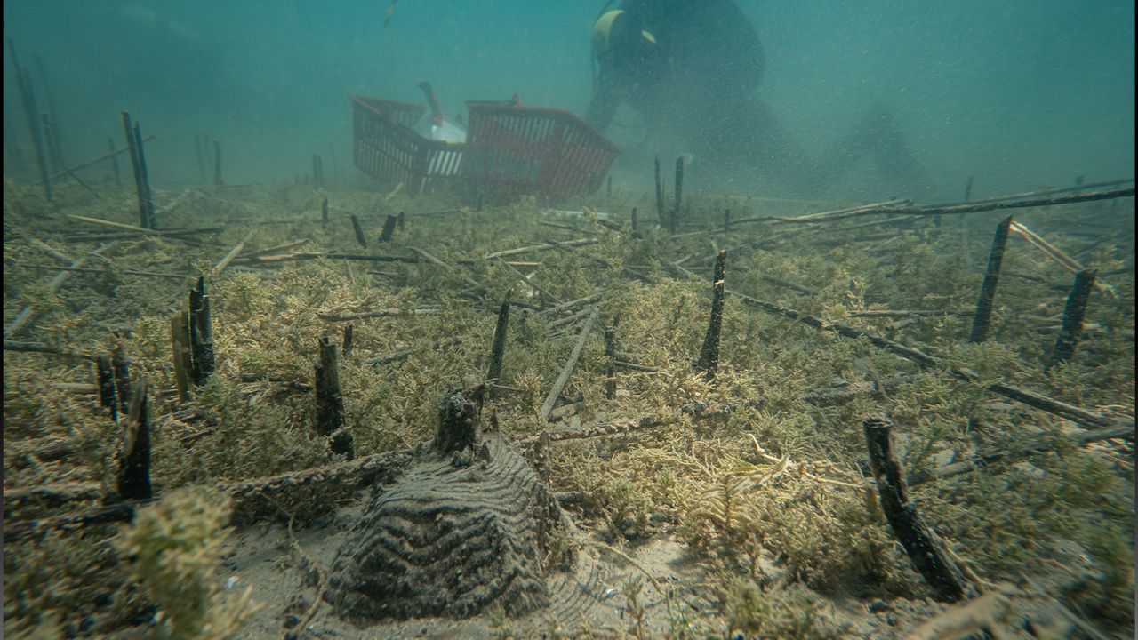 Divers excavate underwater site at possible oldest village in the world.