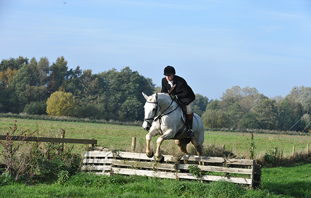 Amateur whipper-in Reece Plumb neatly pops a fence at the opening meet of the Dunston Harriers