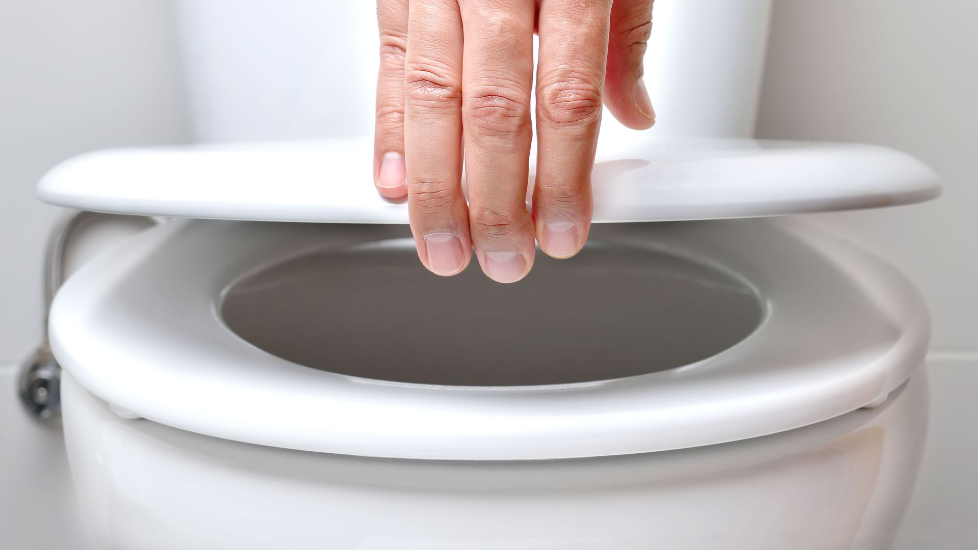 Fitting a toilet seat How to install a new one or replace Homebuilding