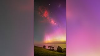Purple and yellow northern lights over Dunedin Peninsula, New Zealand.