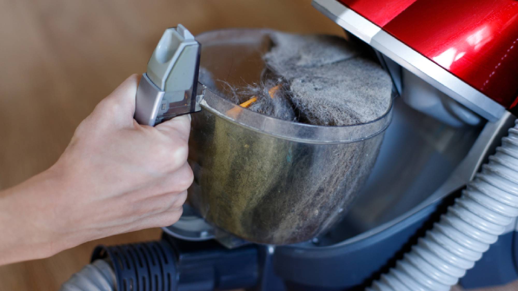 Hand holding a clear vacuum canister packed tightly with dense grey dust, dander, and dirt. 