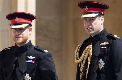 prince william prince harry release joint statement dismissing false story