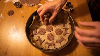 Person making dog treats