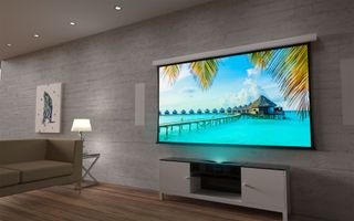 Ambient light rejecting screen showing tropical setting