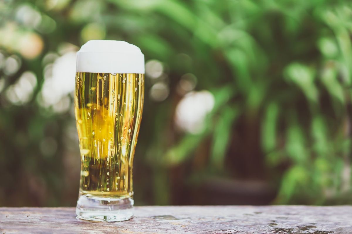 Beer As Fertilizer Is Beer Good For Plants And Lawns Gardening Know How