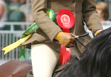 windsor21.jpg