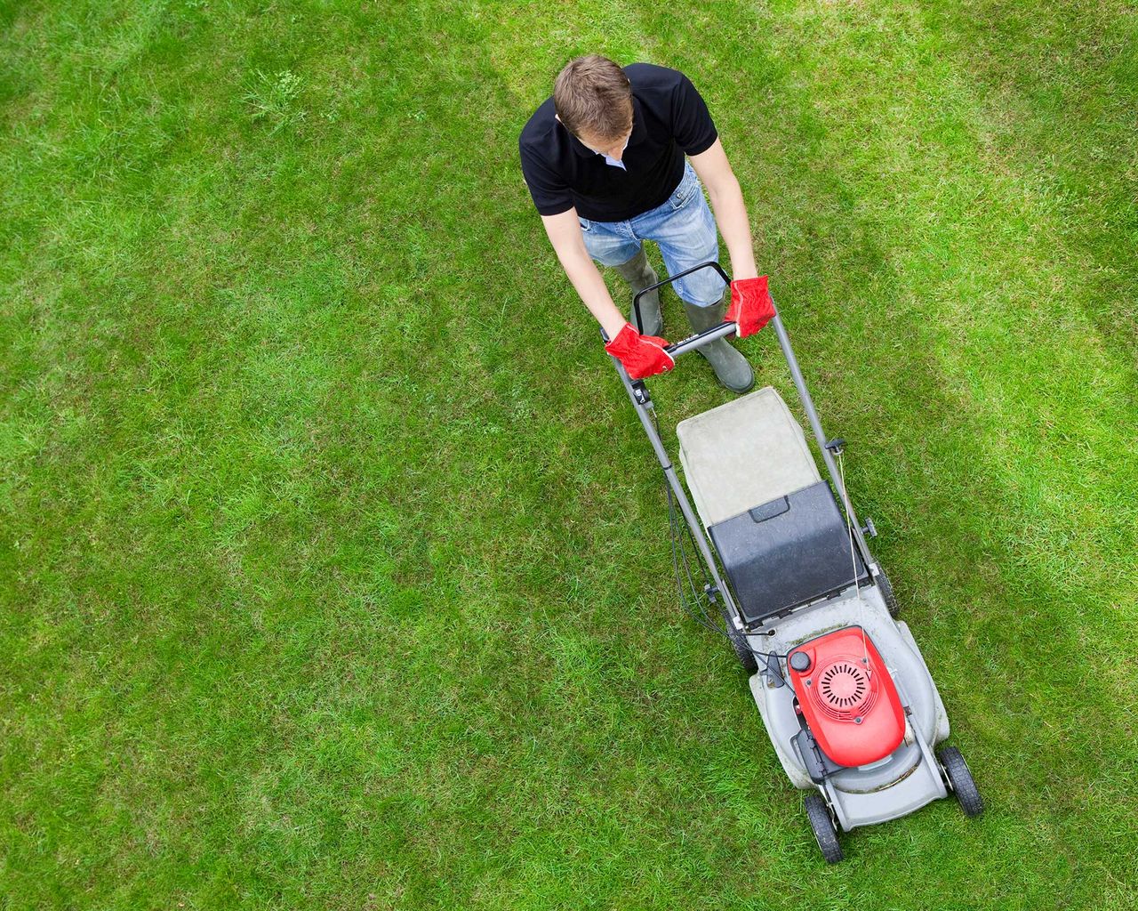 How to mow stripes on a lawn: tips for impressive results | Gardeningetc