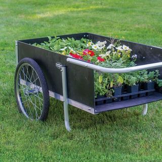 Gardening cart with plants inside on a green lawn