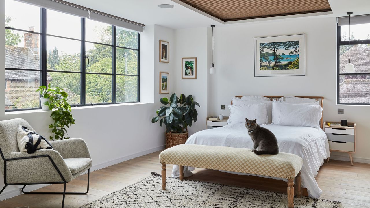 Cat sitting on bench at end of a double bed in light filled bedroom with accent chair and rug