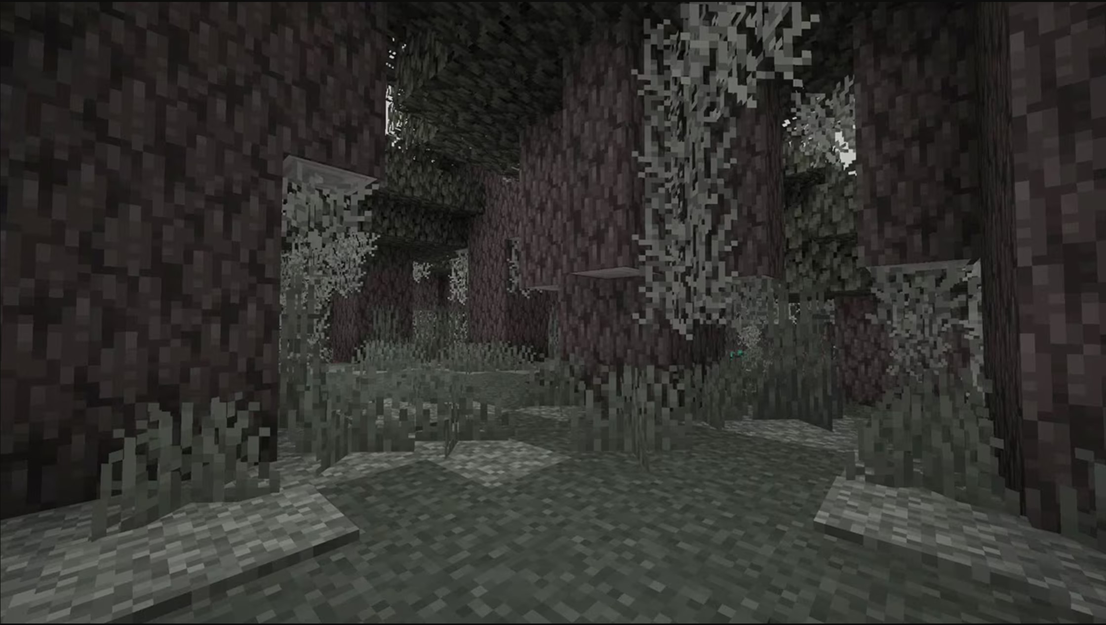 view of new Pale Garden biome coming to minecraft, a desaturated forest area with little wildlife