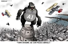 Political Cartoon