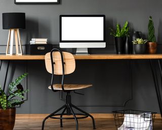 Dark gray home office with wooden desk chair and lots of small green potted plants