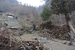Farmer stocks wood