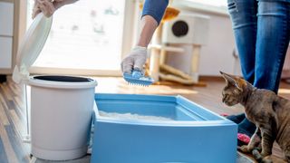 Person using a scoop and bin to clean a litter box with a cat watching by their feet