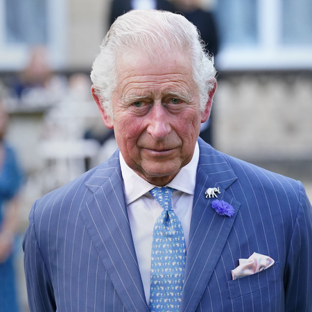 Prince Charles, Prince of Wales attends the "A Starry Night In The Nilgiri Hills" event hosted by the Elephant Family in partnership with the British Asian Trust at Lancaster House on July 14, 2021 in London, England.