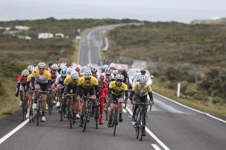 Budget Forklifts defend the yellow jersey of Sam Horgan as the peloton races along the Great Ocean Road