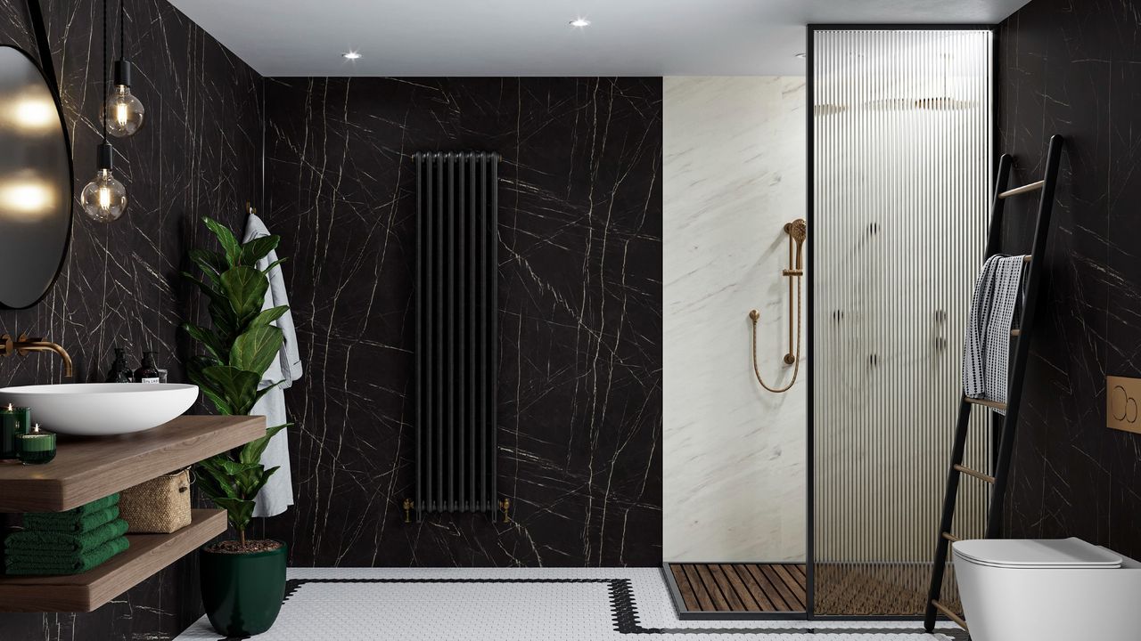 Dark bathroom with a walk-in shower