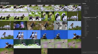 Luminar AI: Best photo editing software for quick edits