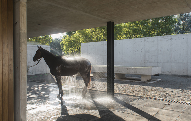 While practicality might be most horse owners&rsquo; priority, Nachos had aspirations for a set-up more akin to an art gallery