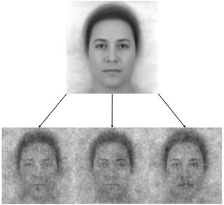 The base image (a composite of 50 faces that represent the collective demographics of the U.S. population) and three of the 300 images that participants picked from during the experiment.
